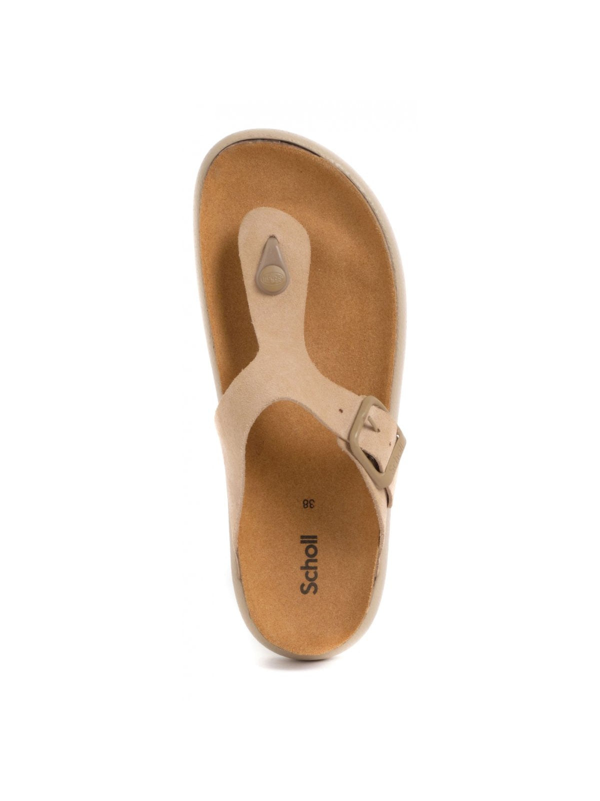 SCHOLL Tongs femmes Anais Chunky F311321002 Beige