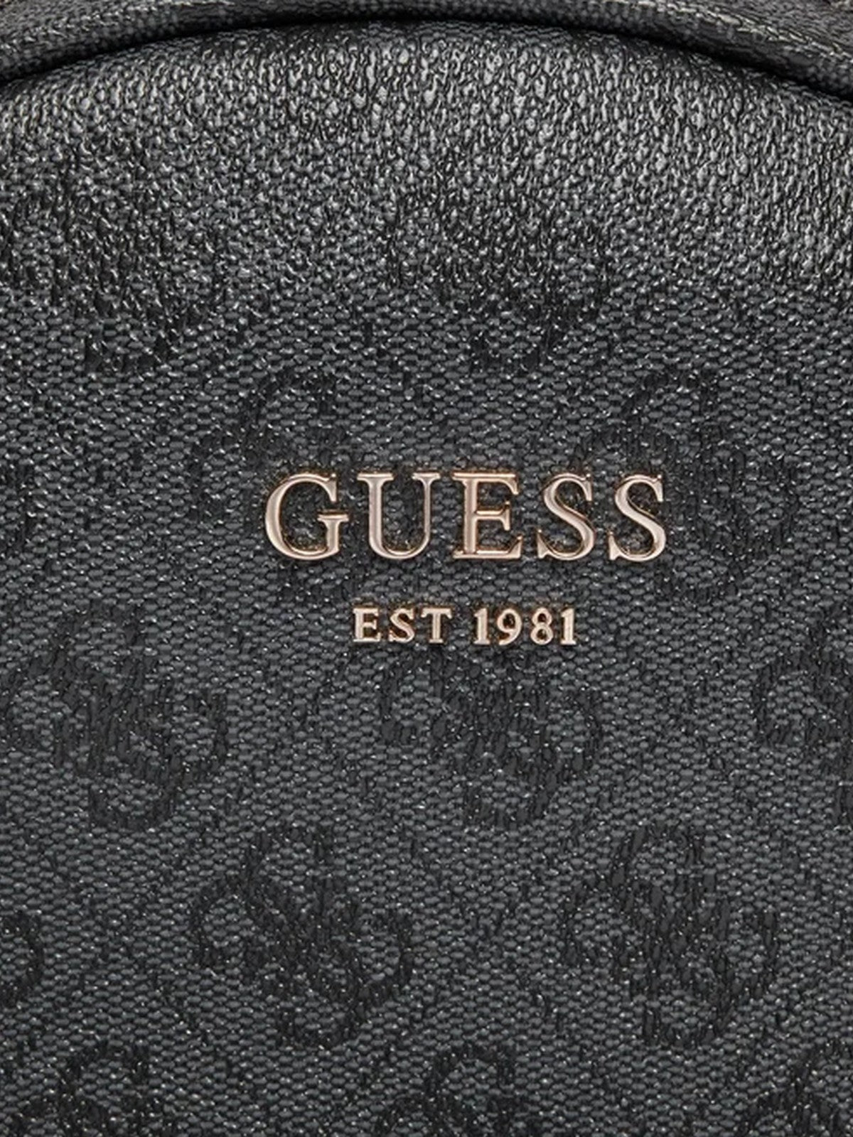 GUESS Sac à dos pour femmes Sac à main HWSG69 95320 COA Gris